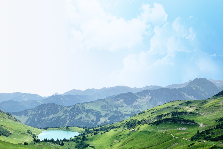 mobbanner-564
